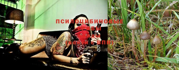 альфа пвп Корсаков