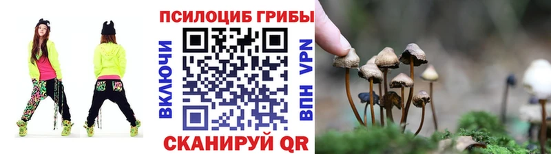 Галлюциногенные грибы Cubensis  как найти   Петухово 